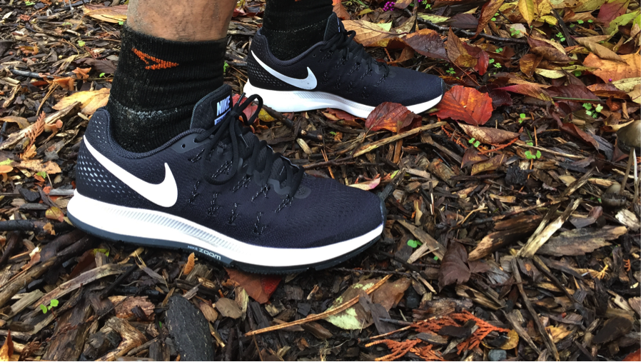 Nike Pegasus 33 Shoe Review