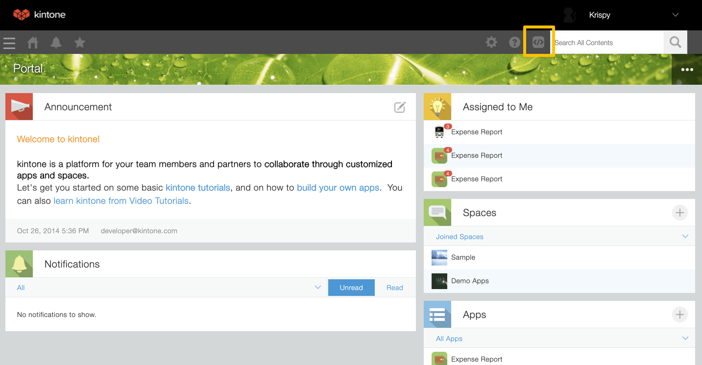 Design a Custom Portal with Kintone Portal Designer Kintone Developer