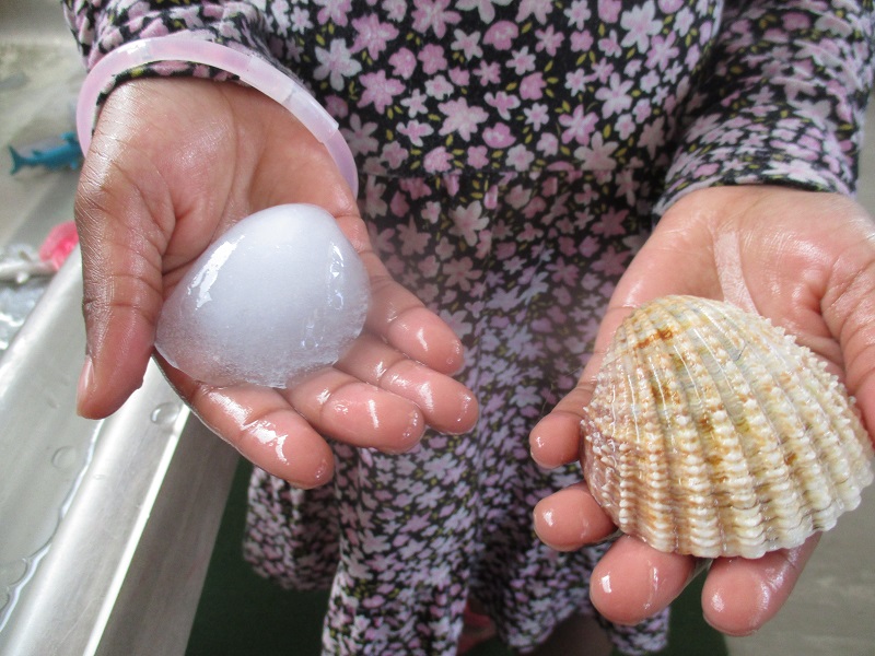 Exploring Ice! – Kintore Way Nursery School and Children's Centre