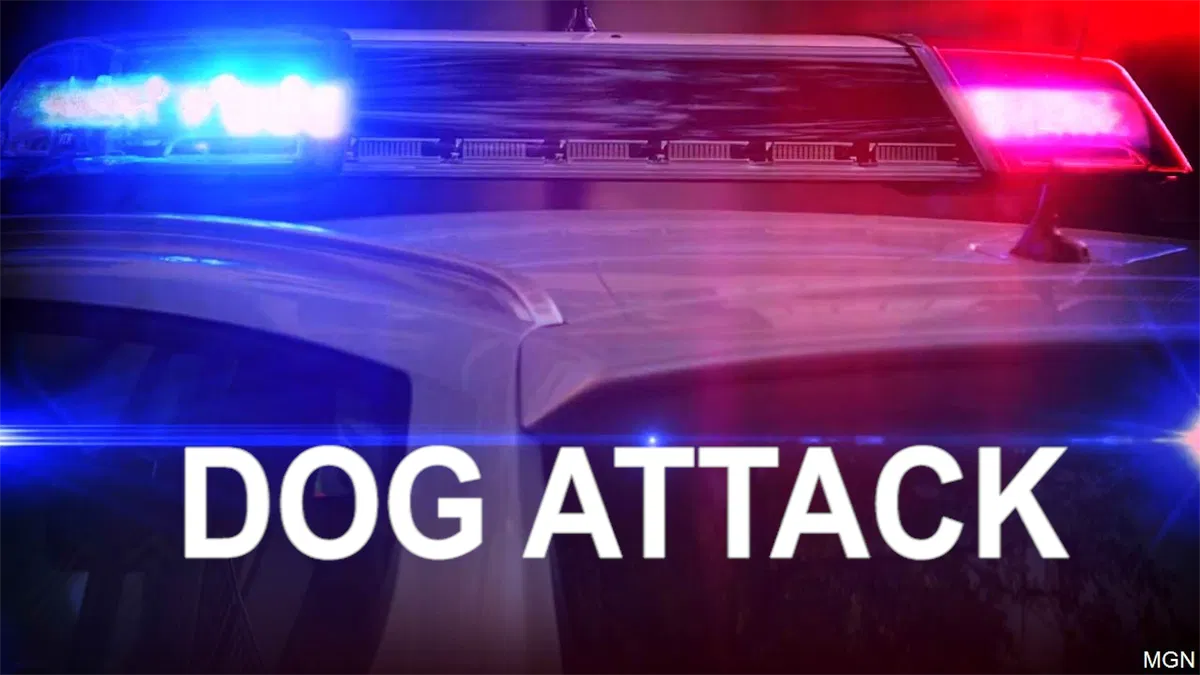One dog killed, another dog and two people injured in Monterey dog