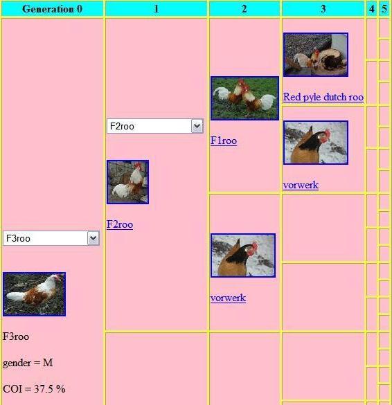 dog color calculator Colorpaints.co