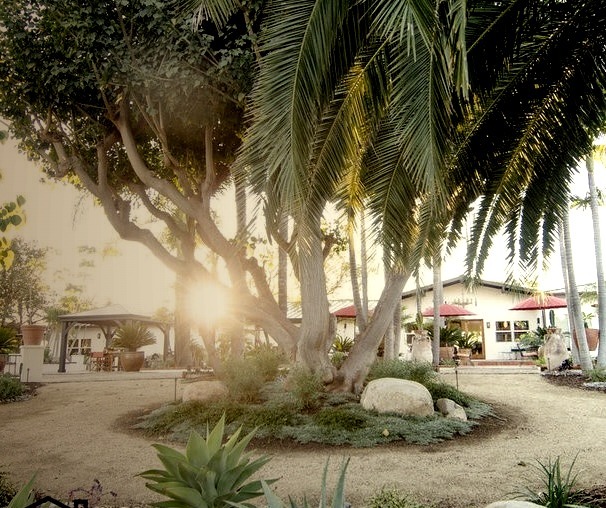 San Diego Patio Kira