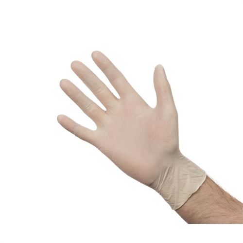 PowderFree Latex Gloves White Kirklands