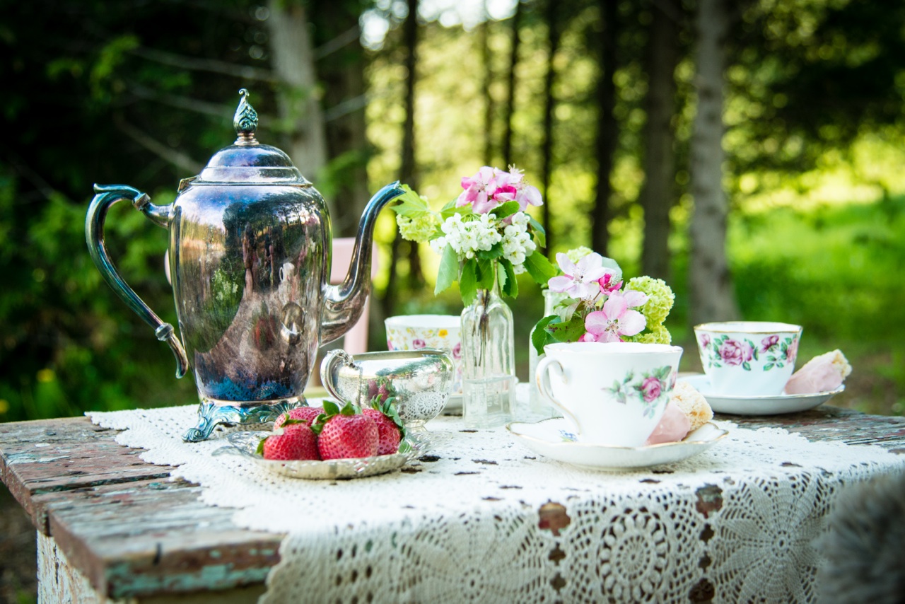 Tea Gowns and Tea Time History Wardrobe Presentation KLTV