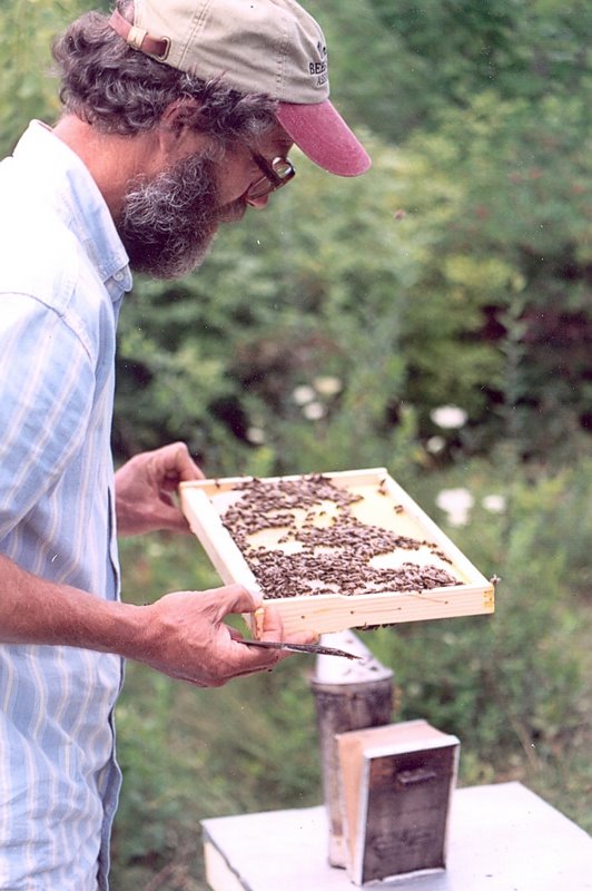 Kirk ster New/Old Beekeeping Discoveries
