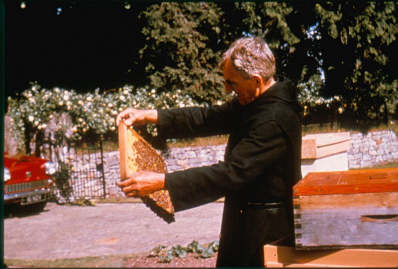 Photo Gallery Kirk ster