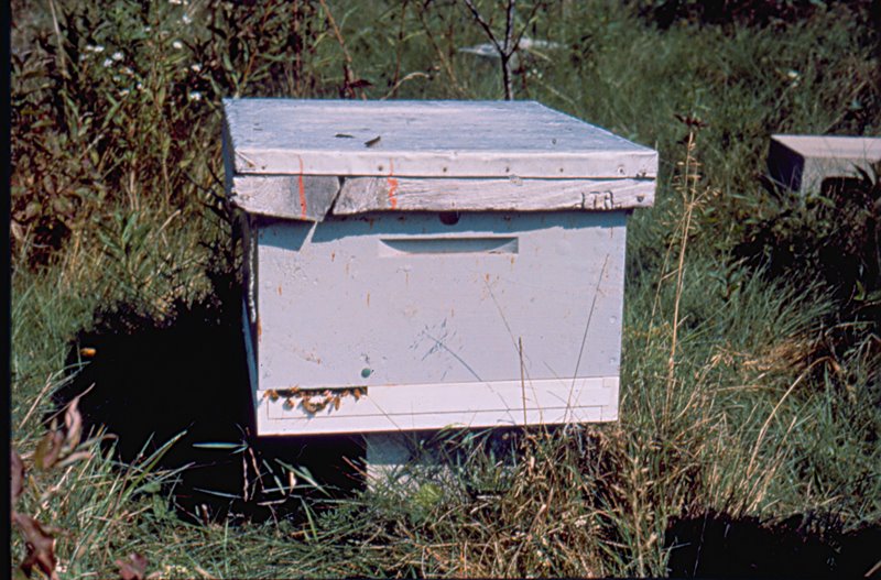 Photo Gallery Kirk ster