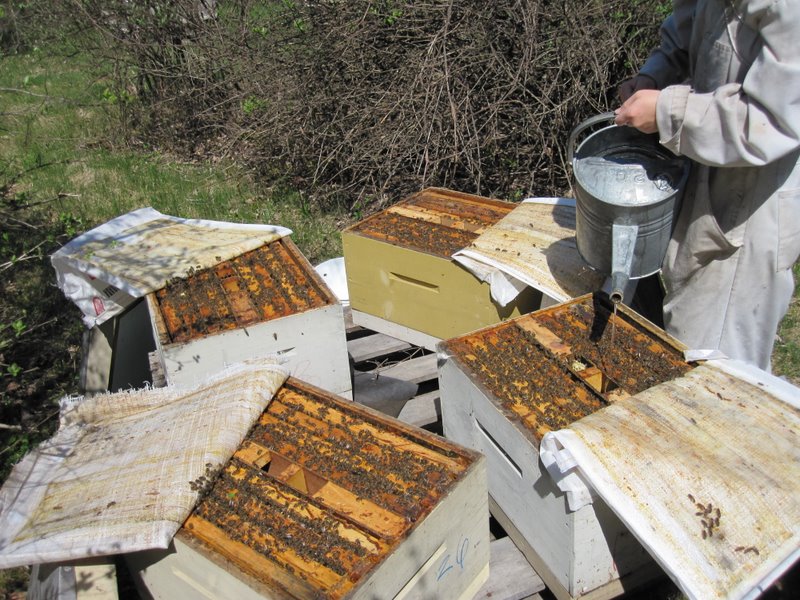 Photo Gallery Kirk ster