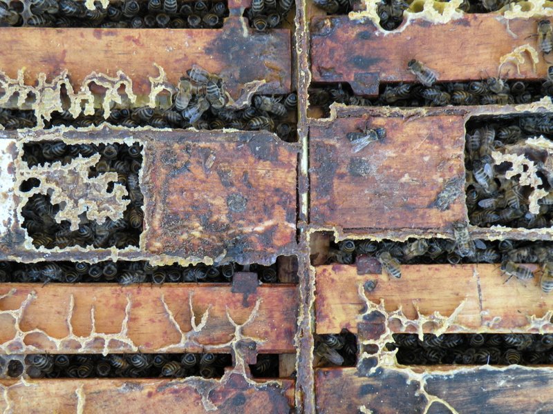 Photo Gallery Kirk ster