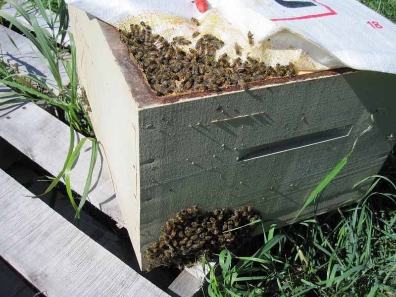 Photo Gallery Kirk ster