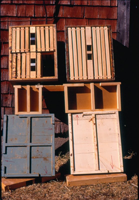 Photo Gallery Kirk ster