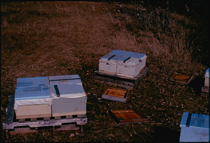 Photo Gallery Kirk ster