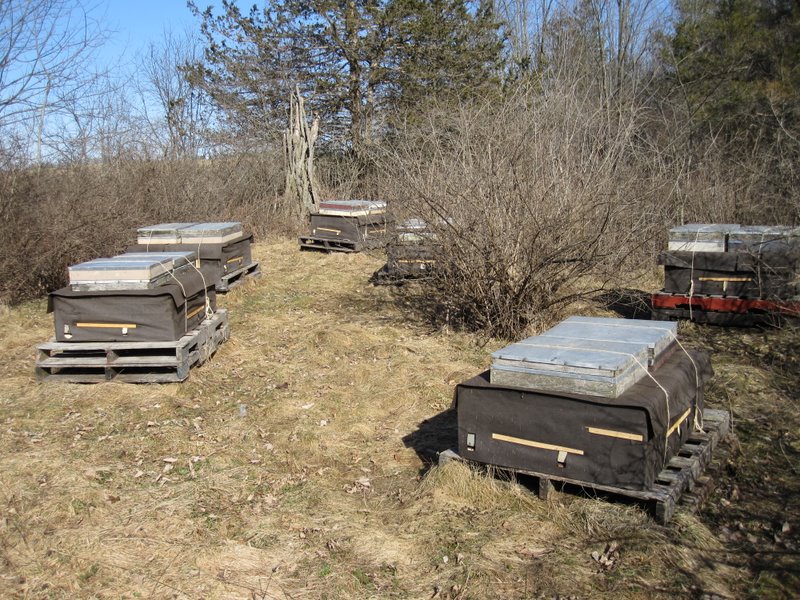 Photo Gallery Kirk ster