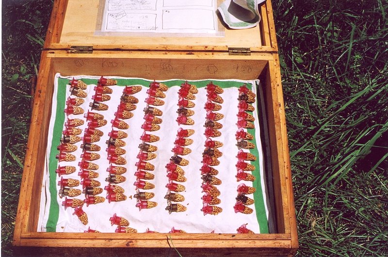 Photo Gallery Kirk ster