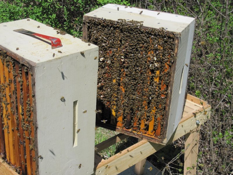 Photo Gallery Kirk ster