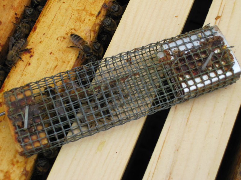 Photo Gallery Kirk ster