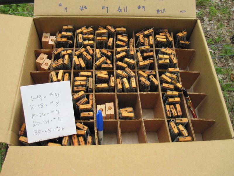 Photo Gallery Kirk ster