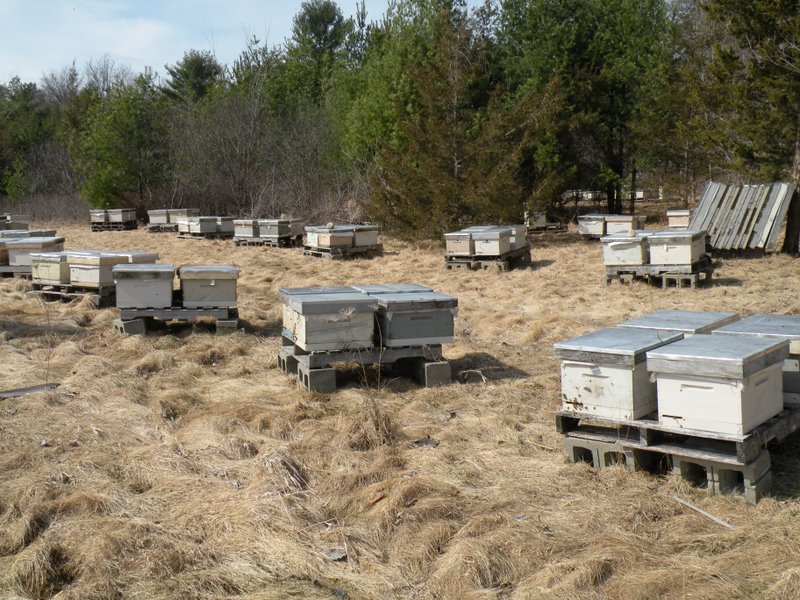 Photo Gallery Kirk ster