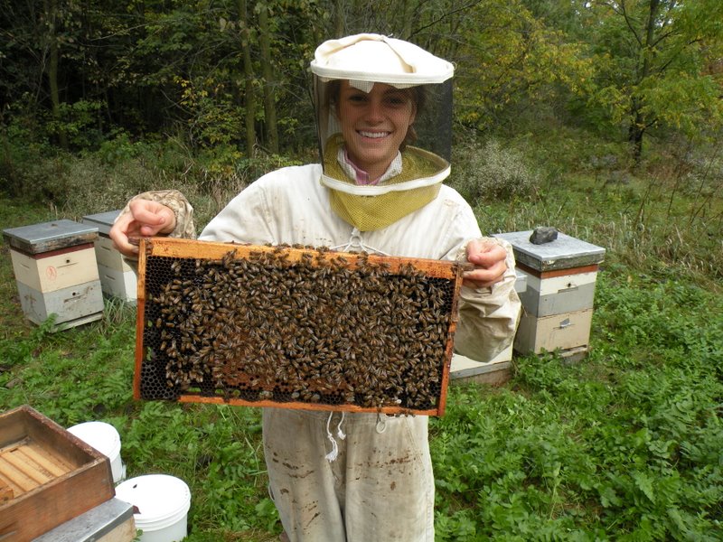 Photo Gallery Kirk ster