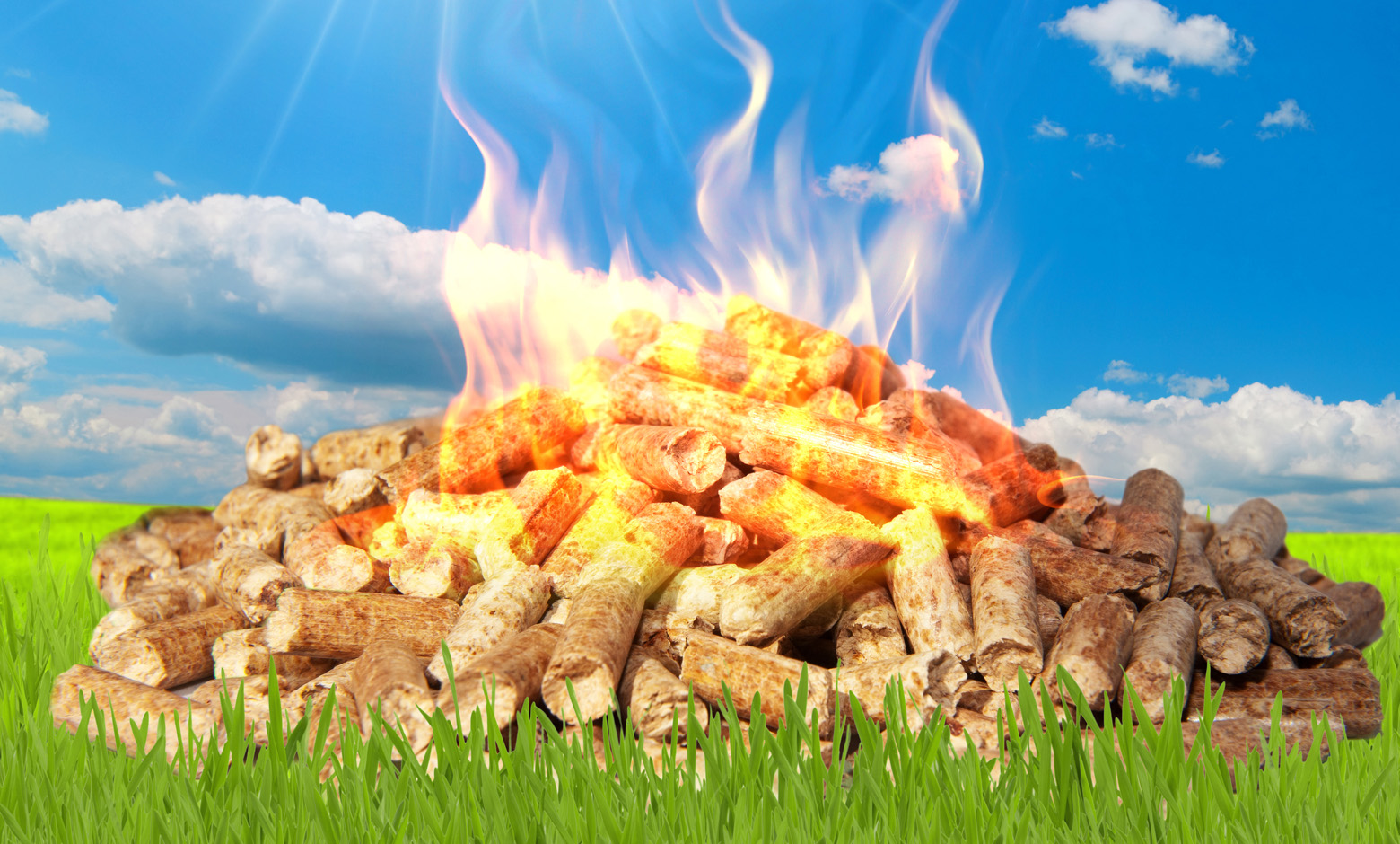 Kirtland Products Michigan Based Wood Pellets