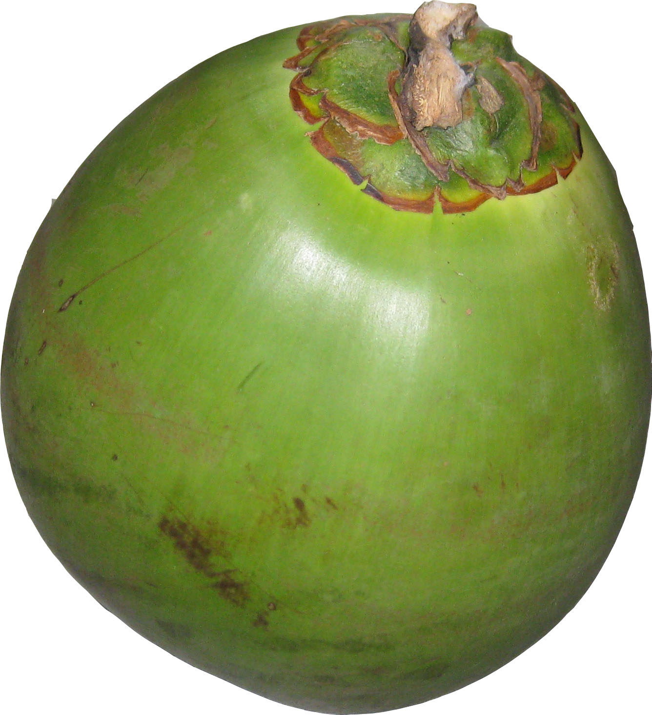 Water Coconut Kisadee Ventures Limited.