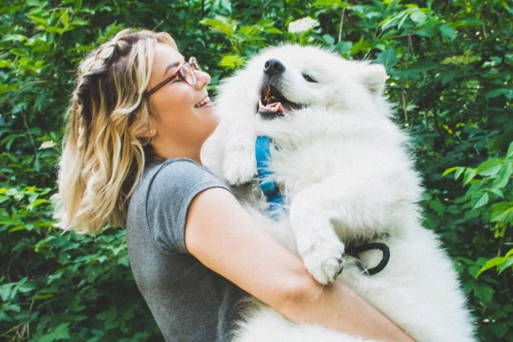 These Are The Most Spoiled Dog Breeds