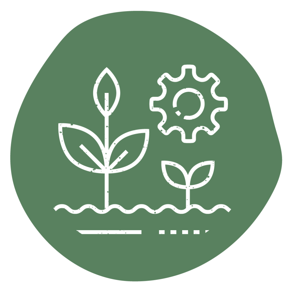 Guide to Regenerative Agriculture (Why is it important?) Kiss The Ground