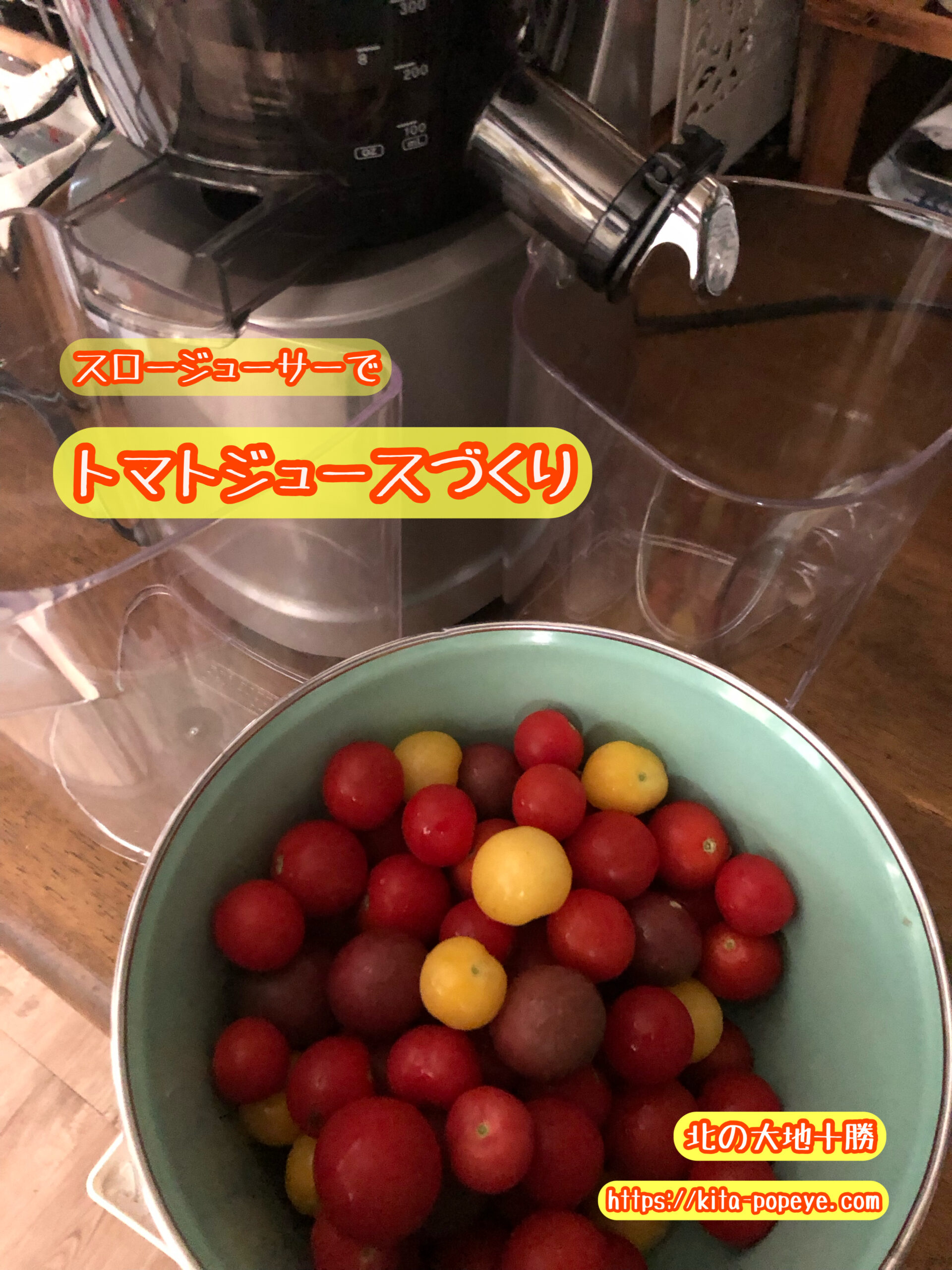 【家庭菜園】トマトの収穫【自給自足・スローライフ】生食以外にもいろいろ加工できる万能野菜【北の大地十勝】（tomato）スロージューサー