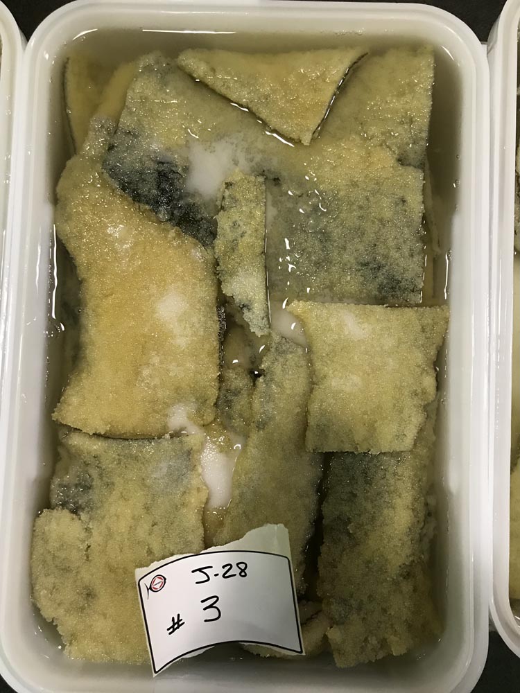 Wholesale Roe on Kelp Fish Wholesale Kitasoo Seafoods