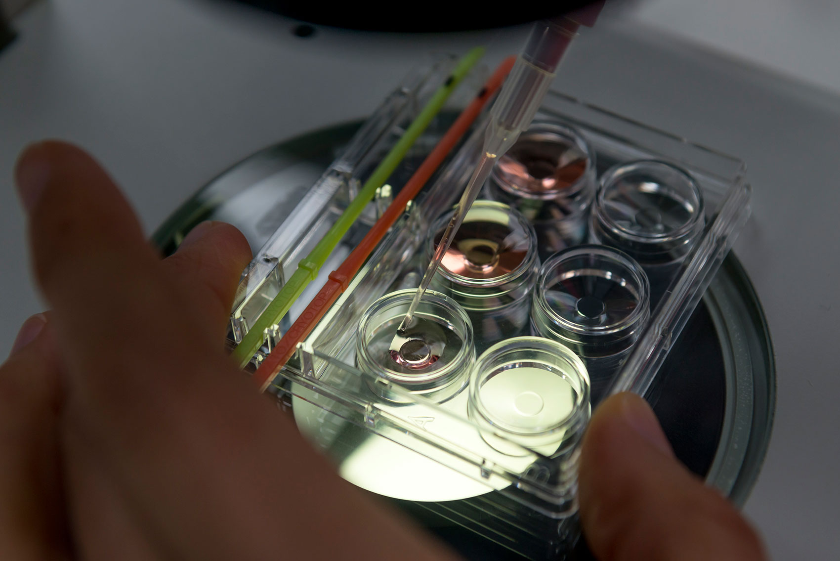 Vitrification Accessories Kitazato IVF