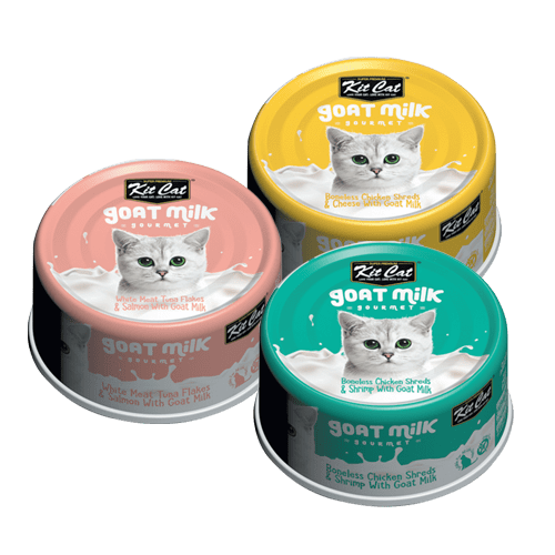 Animal Supermart Kit Cat Canned Food