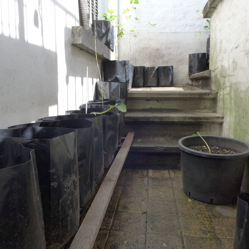 Plastic containers Diary of a Brussels Kitchen Garden