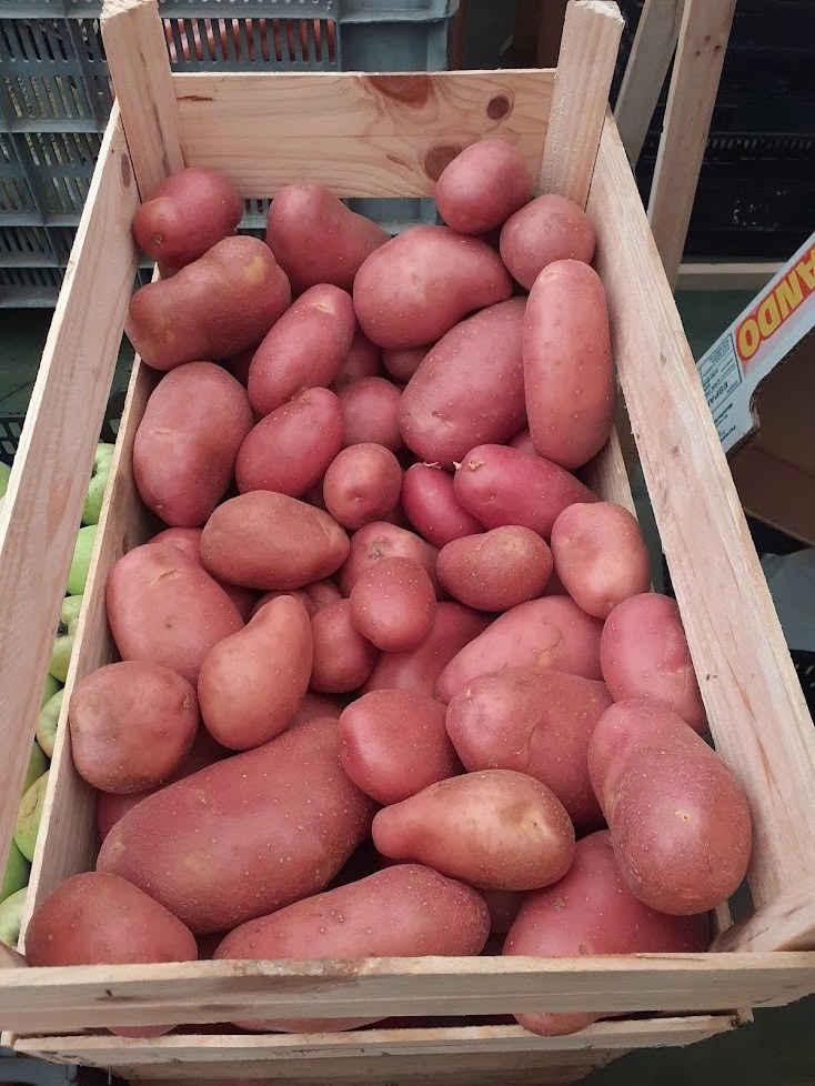 Small Red Potatoes Are They Dyed?