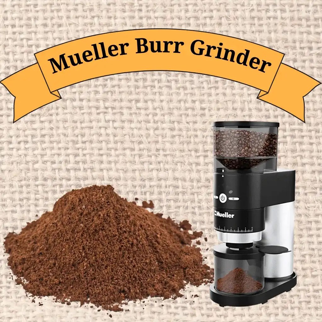 Mueller Burr Grinder Kitchen Backup