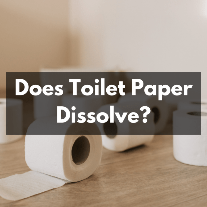 Does Toilet Paper Dissolve? Kitchen Bed & Bath
