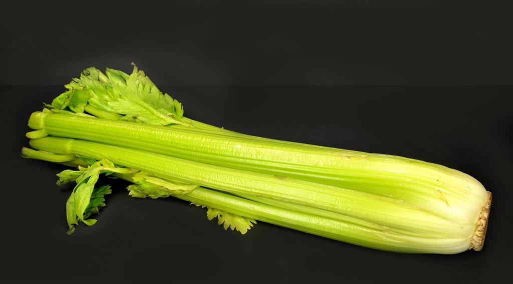 Celery Turning Brown and Wilted Is It Still Safe to Eat?