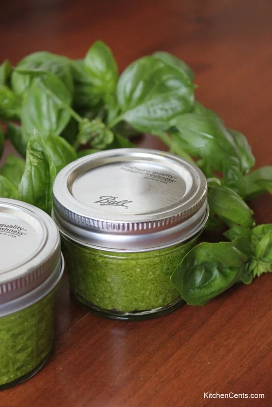 Inexpensive Easy 5Minute Blender Basil Pesto Kitchen Cents