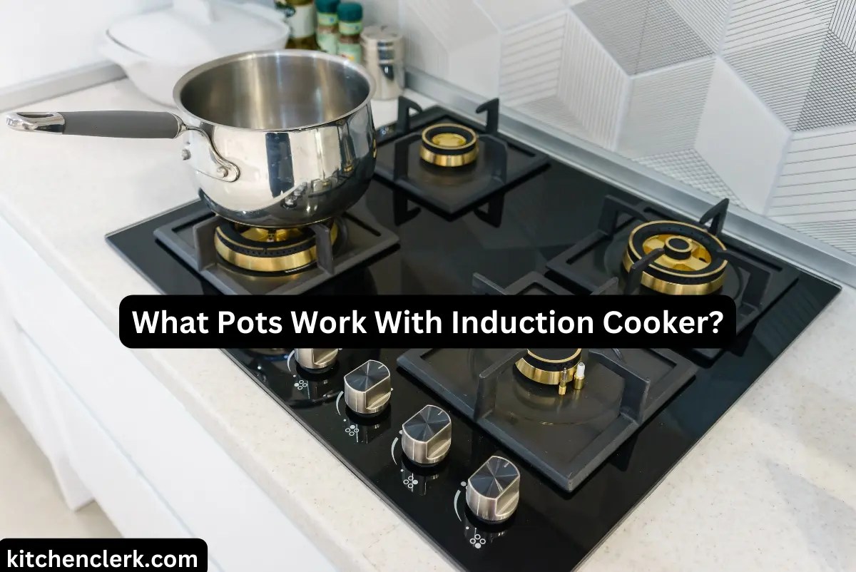 What Pots Work With Induction Cooker?