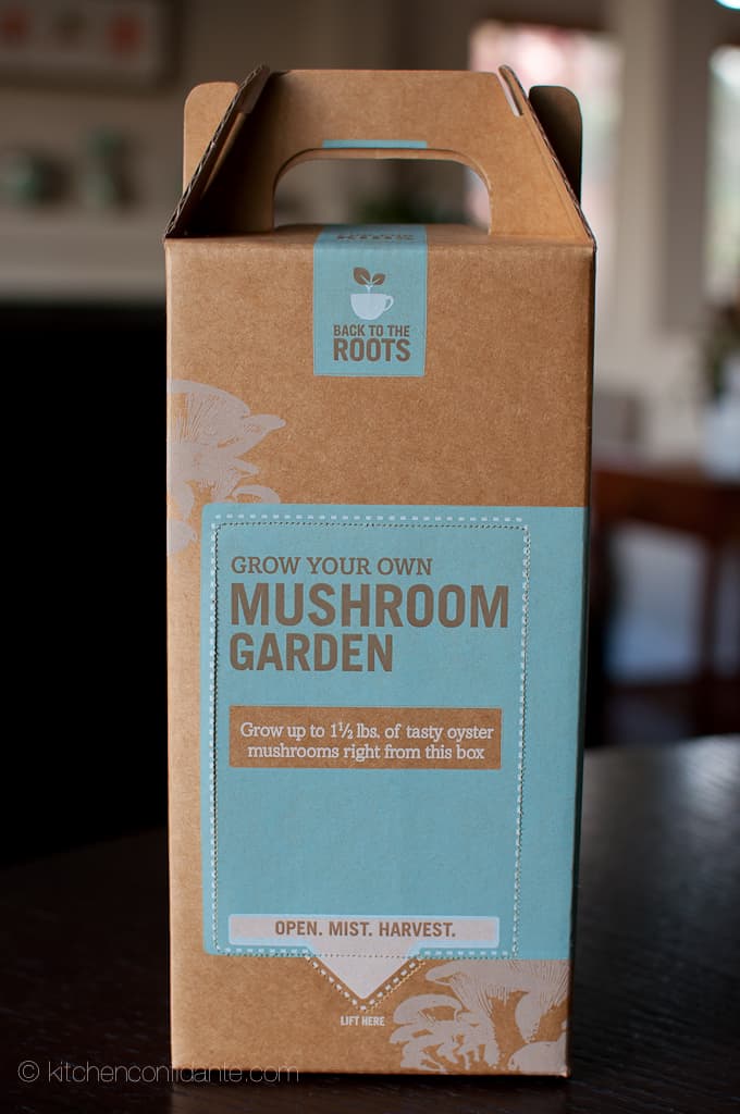 Giveaway | Back to the Roots Mushroom Kit - Kitchen Confidante®