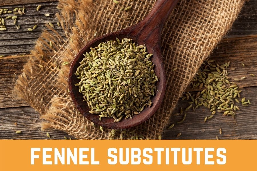 Best 10 Fennel Substitutes Which is the Right One for You?