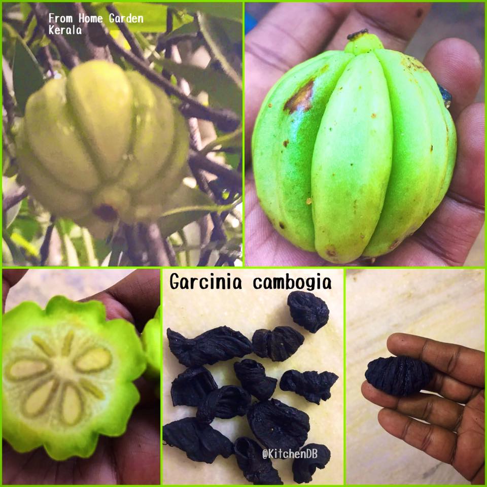 Kudampuli Thogayal KitchenDB My Passion for Healthy Cooking