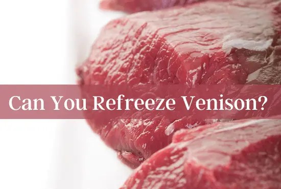 Can You Refreeze Venison? The Answer Is Not So Simple Kitchen Dips