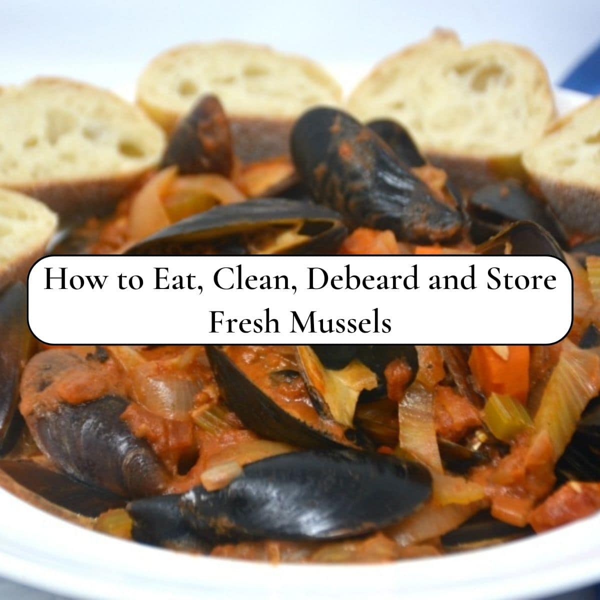How to Eat, Clean, Debeard and Store Fresh Mussels Kitchen Divas