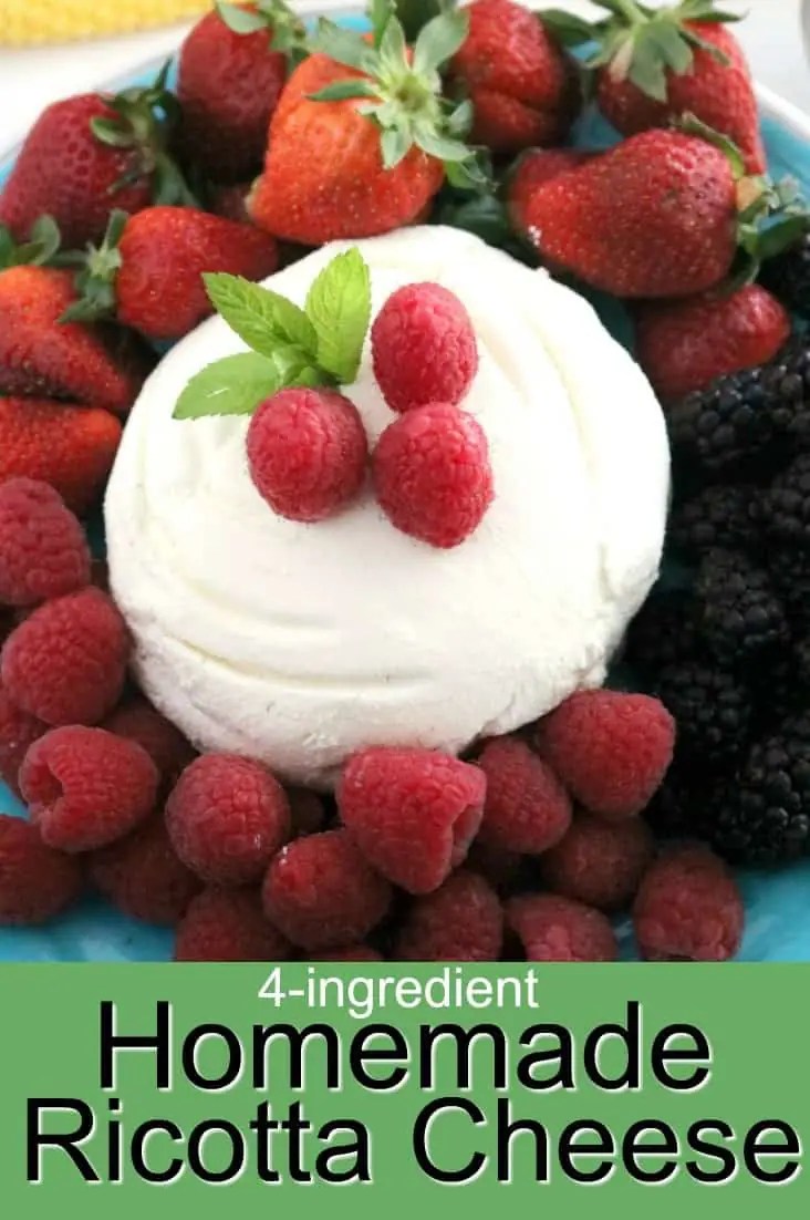 Easy 4Ingredient Whole Milk Ricotta Cheese
