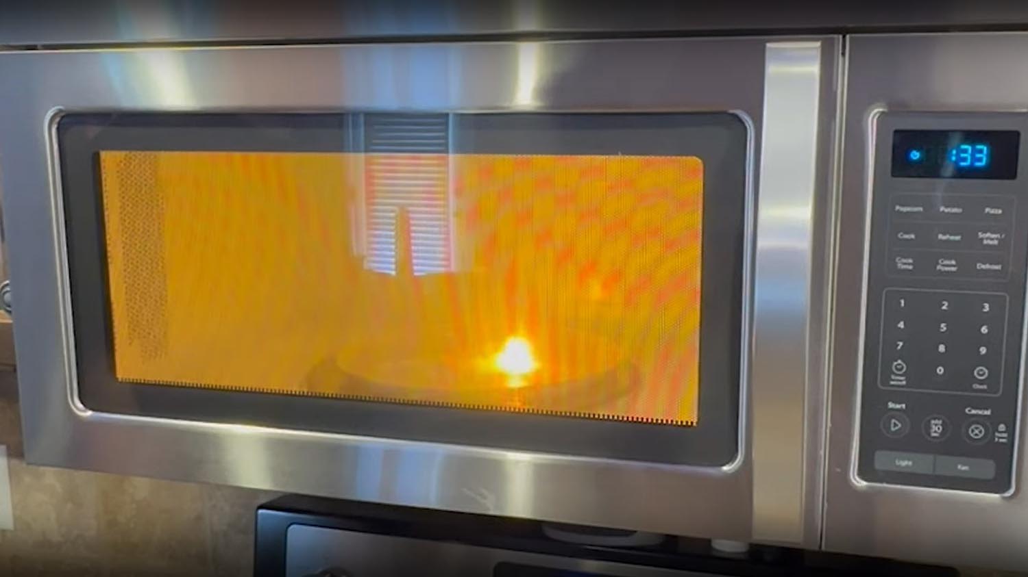 Kale bell peppers onions carrots green beans spinach Green Beans Sparking In The Microwave [5 Easy Solutions!]