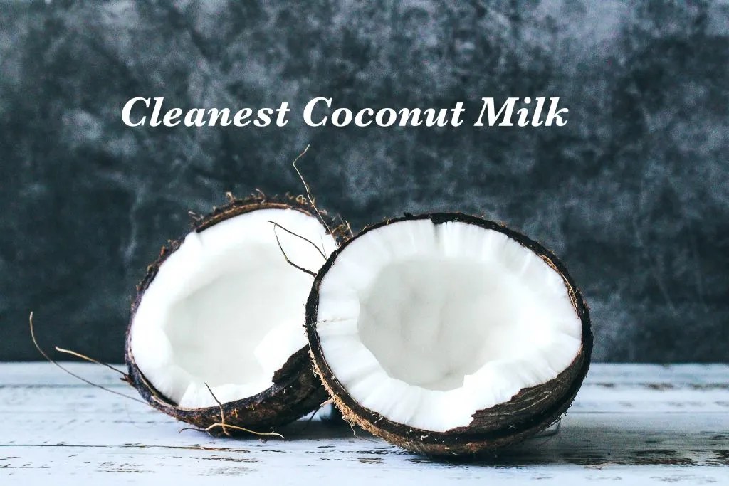 Coconut Milk Without Additives Best Brands 2023 Kitchen Instincts