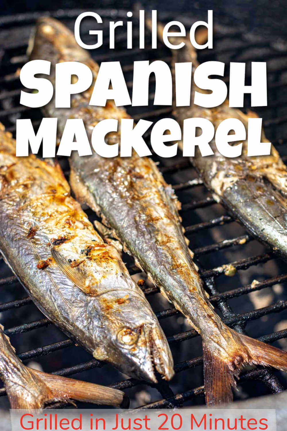 Whole Grilled Spanish Mackerel {20 Minute Recipe} Kitchen Laughter