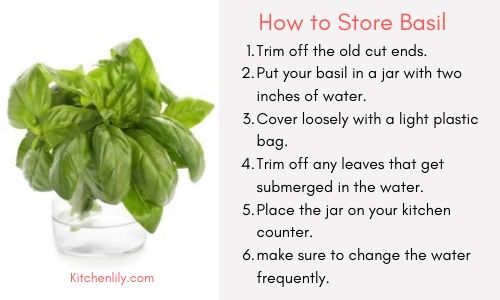 How To Save A Basil Plant Escons