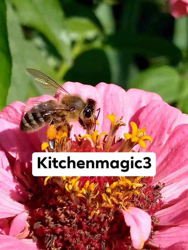 What is bee pollen benefits?