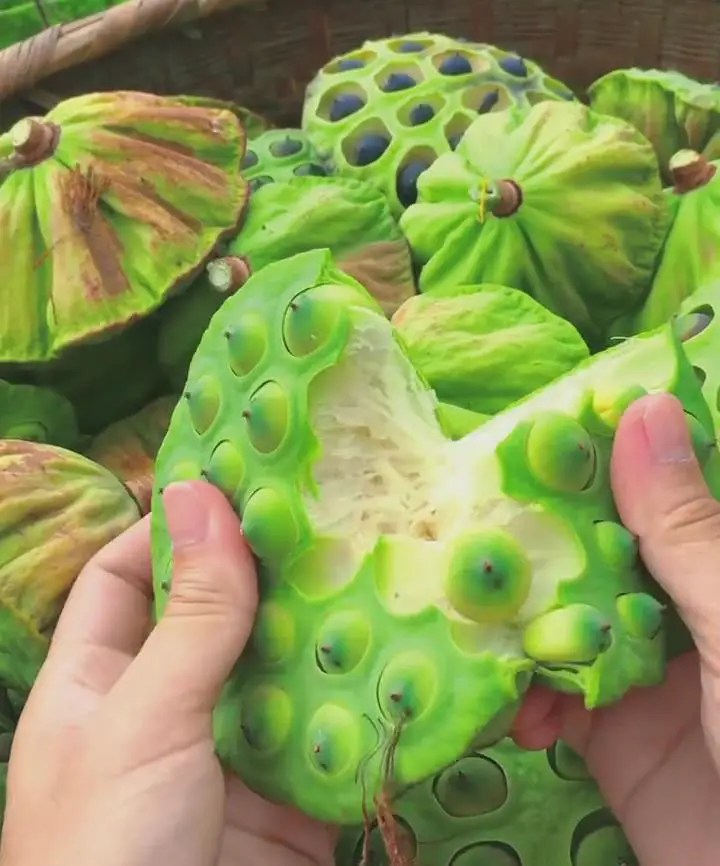 Making Lotus Seed Paste Filling A StepByStep Guide Kitchen (Mis